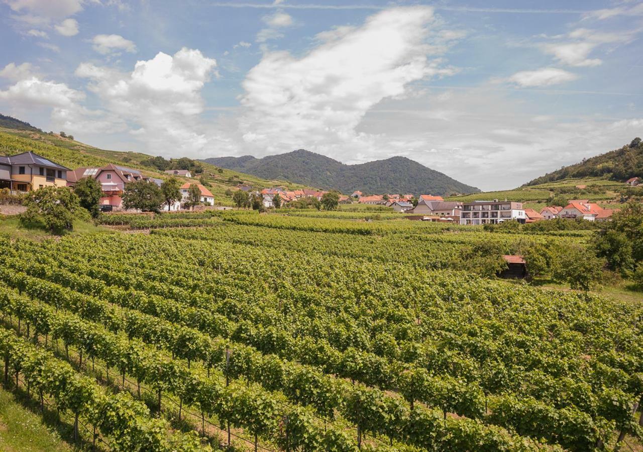 Stierschneider'S Weinhotel Wachau & Wiazhaus Spitz an der Donau Esterno foto